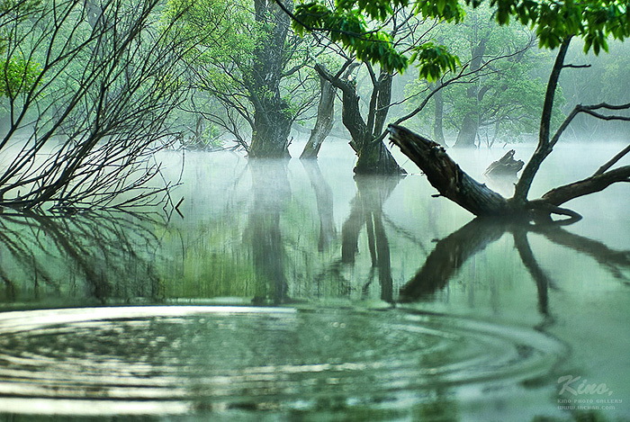 [키노]주산지의 봄은 찬연하여라.jpg